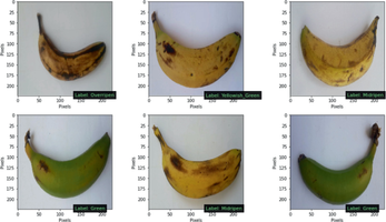 AI Academic Assistant