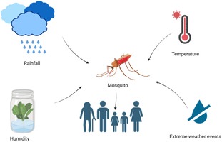Vector Borne Disease